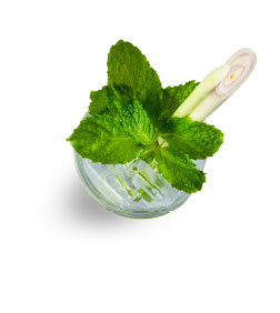 Lemongrass Mojito