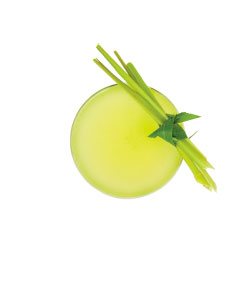 LEMONGRASS DAIQUIRI