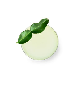 KAFFIR LIME DAIQUIRI