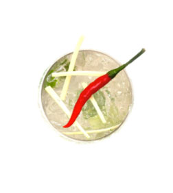 SPICYRINHA
